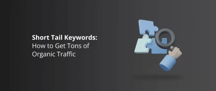 keyword short tail seo