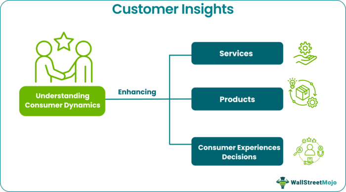 contoh consumer insights